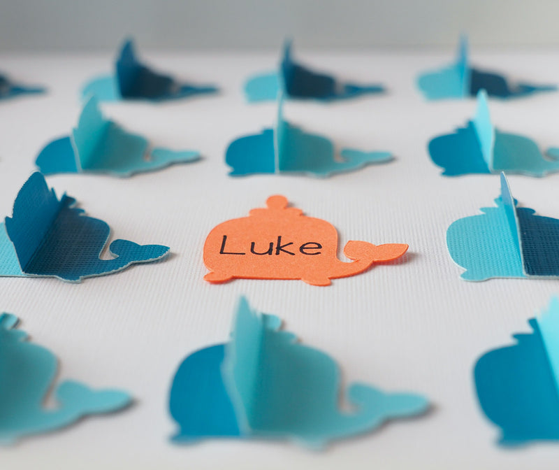 3D Whale guestbook and decor